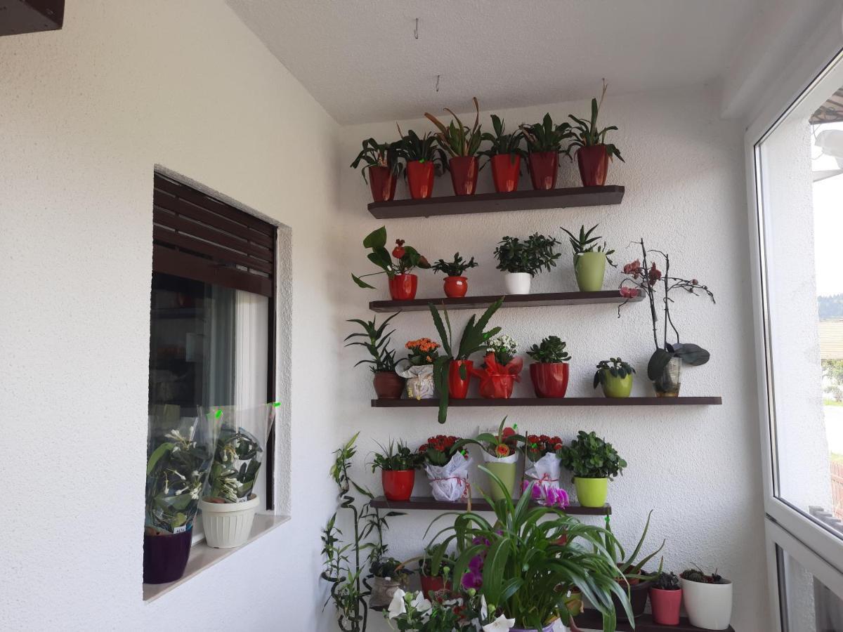 Antal Apartmans Lunca De Sus Kulcsoshaz Gyimesfelsolok المظهر الخارجي الصورة